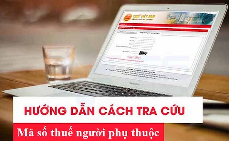 Lưu ý để thực hiện tra cứu MST người phụ thuộc thành công