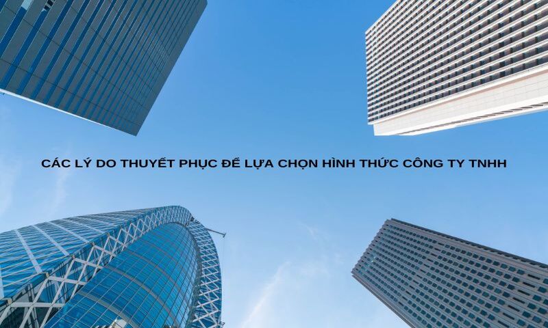 Các lý do thuyết phục để lựa chọn hình thức công ty TNHH