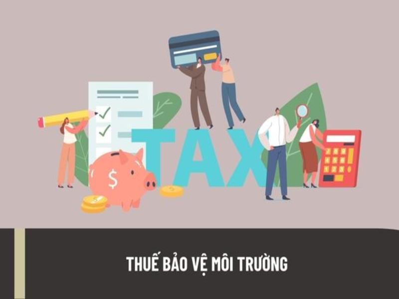 Các nhóm mặt hàng hiện nay phải chịu thuế bảo vệ môi trường