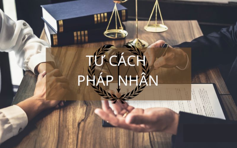 Chủ thể pháp nhân được quy định trong điều luật