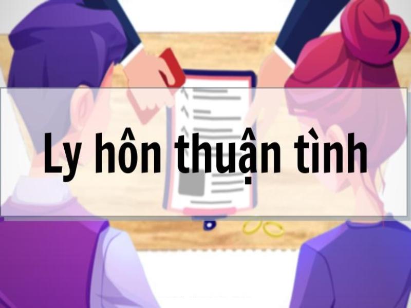 Ly hôn thuận tình là việc mà cả 2 vợ chồng đã đạt đến thỏa thuận chung