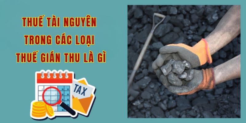 Thuế tài nguyên trong các loại thuế gián thu là gì