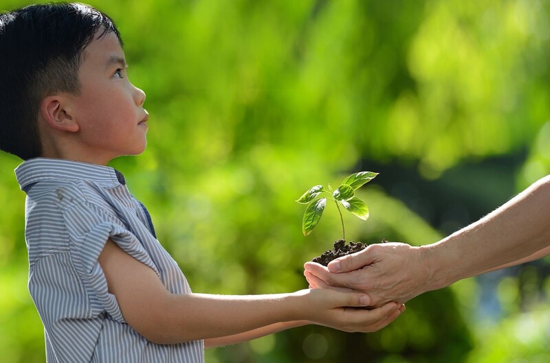 5 biện pháp phòng ngừa và can thiệp