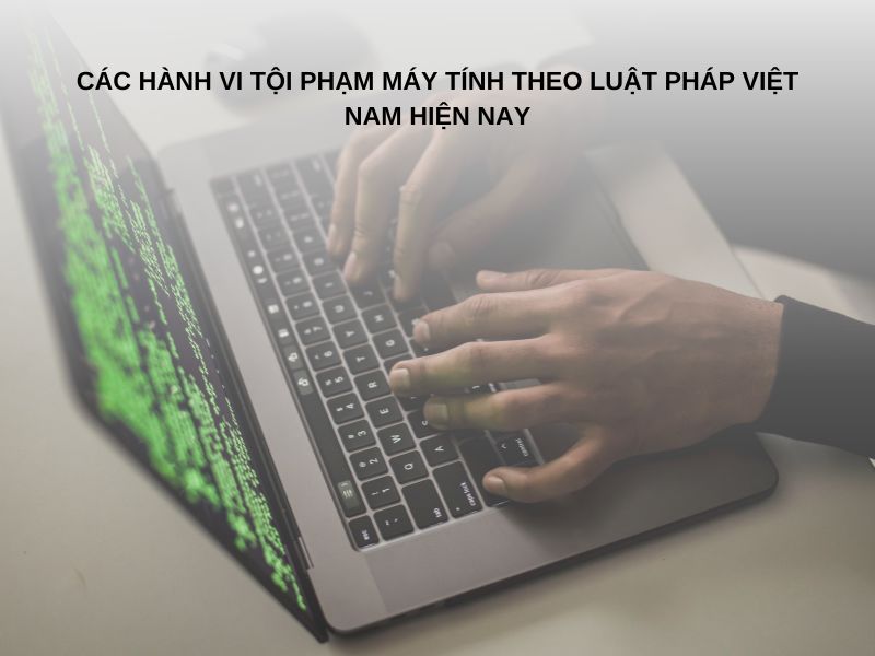 Các hành vi tội phạm máy tính theo luật pháp Việt Nam hiện nay