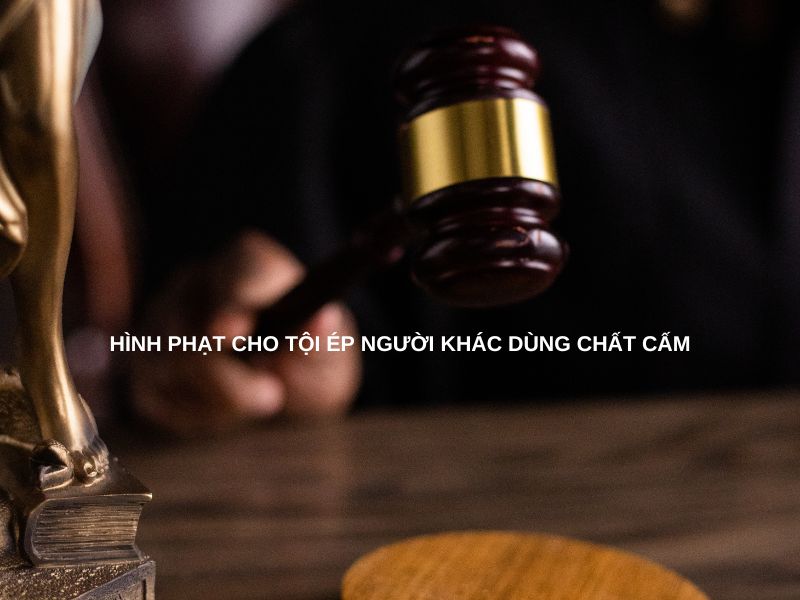 Hình phạt cho tội ép người khác dùng chất cấm