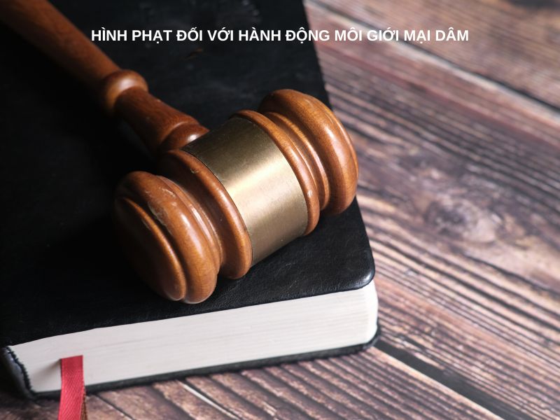 Hình phạt đối với hành động môi giới mại dâm