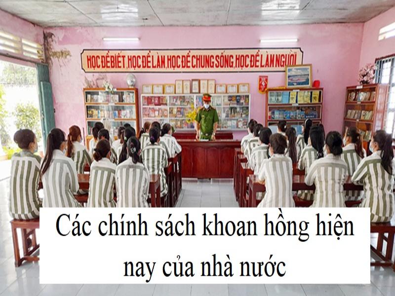 Tổng hợp các chính sách khoan hồng là gì