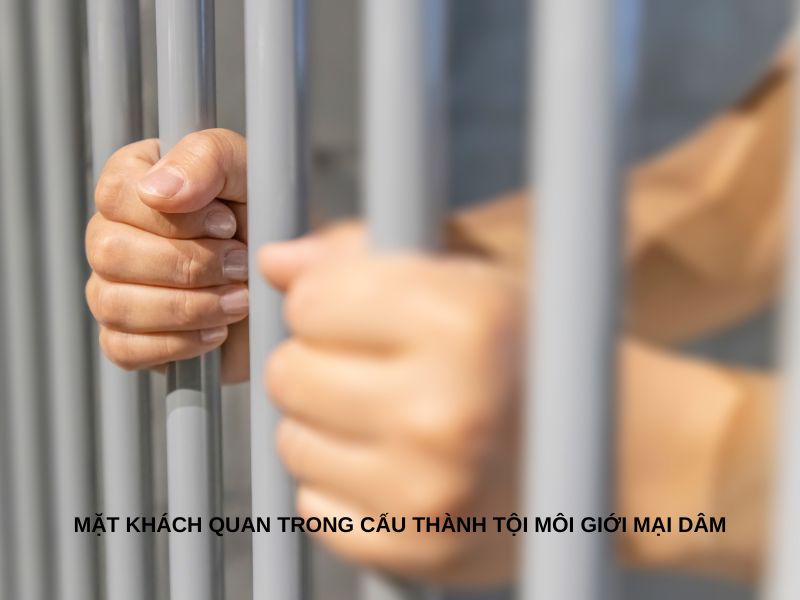 Mặt khách quan trong cấu thành tội môi giới mại dâm