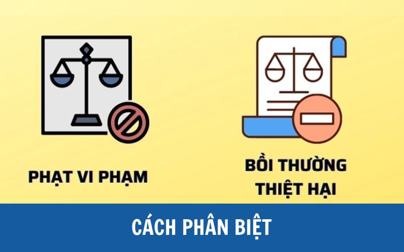 So sánh phạt vi phạm và bồi thường thiệt hại khác nhau thế nào