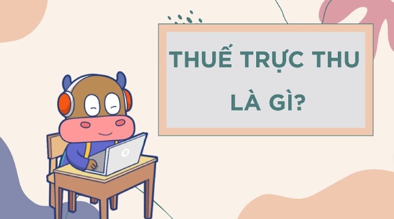 Giải thích chi tiết khái niệm thuế trực thu là gì