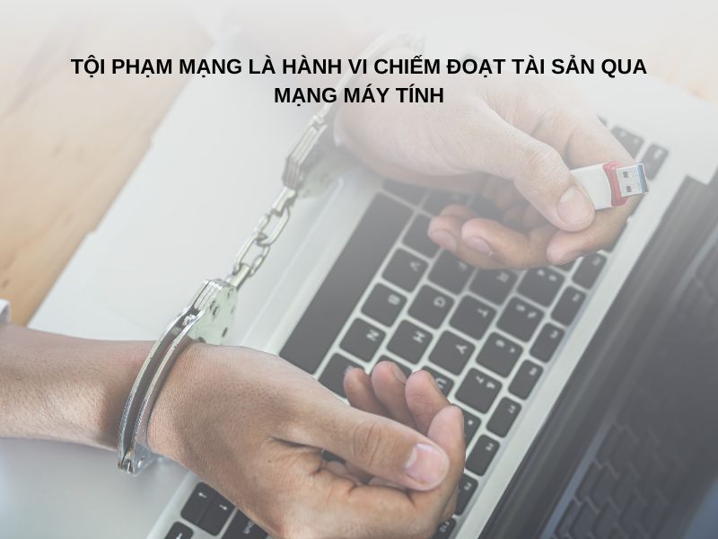 Tội phạm mạng là hành vi chiếm đoạt tài sản qua mạng máy tính