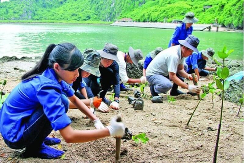 Giảm thiểu rác thải nhựa, trồng cây xanh để khắc phục ô nhiễm môi trường