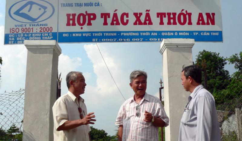 Luật quy định rõ ràng về nguyên tắc, quản lý và cách vận hành của hợp tác xã