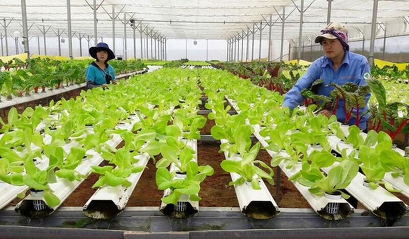 Hợp tác xã có quyền để phát triển hoạt động kinh doanh của mình