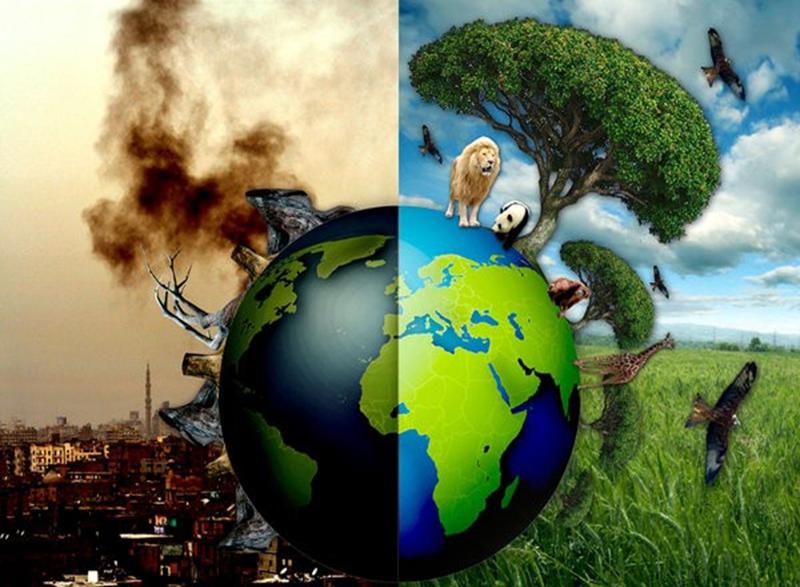 Ô nhiễm môi trường là hiện tượng môi trường bị suy thoái do tác động từ bên ngoài