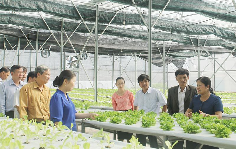 Hợp tác xã hiện nay được phân thành nhiều loại hình khác nhau