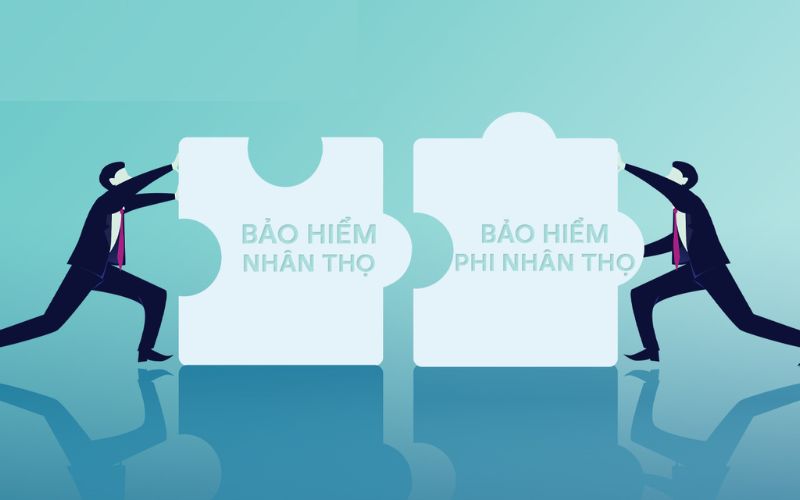 Bảo hiểm nhân thọ và bảo hiểm phi nhân thọ khác nhau thế nào?