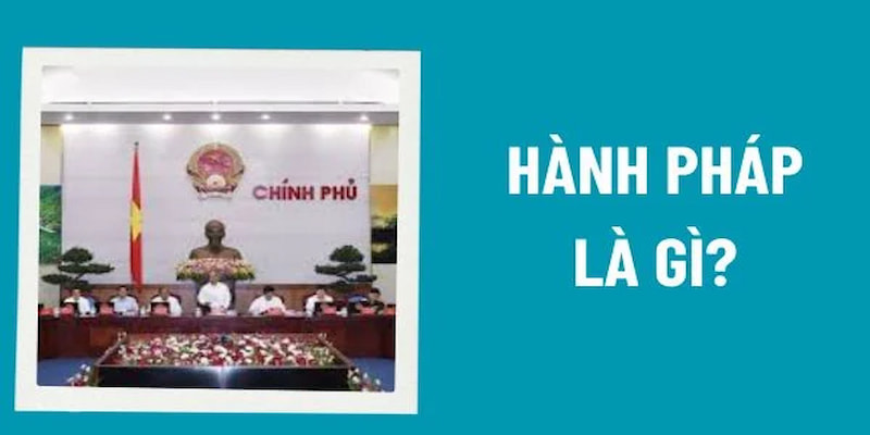 Hành pháp là gì cùng các nội dung cơ bản được Luật Đại Bàng tóm tắt