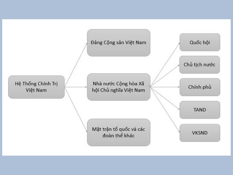 Hệ thống chính trị gồm các tổ chức quản lý xã hội và duy trì trật tự