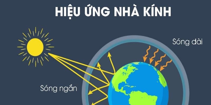 Nguyên nhân tác động đến hiệu ứng phản ứng nhà kính