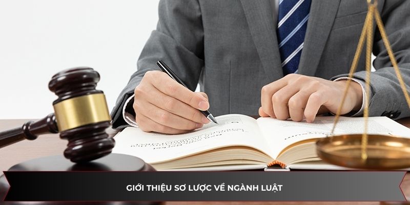 Ngành luật có cơ hội việc làm rộng mở