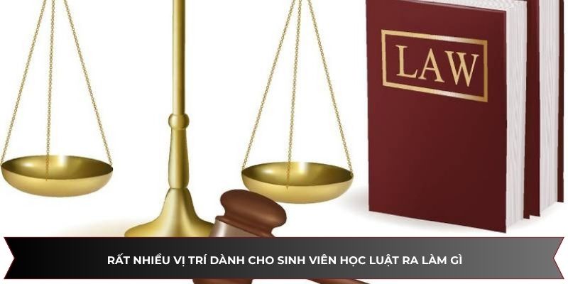 Rất nhiều vị trí dành cho sinh viên học ngành luật