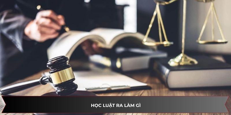 Biết học luật ra làm gì cùng chuyên gia Luật Đại Bàng