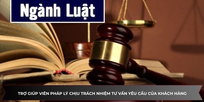 Trợ giúp viên pháp lý chịu trách nhiệm tư vấn yêu cầu của khách hàng
