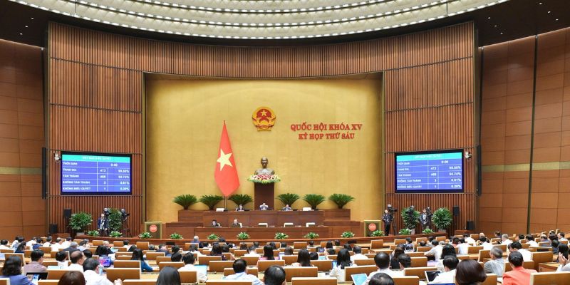 Tại Việt Nam quyền lập pháp chỉ được trao cho Quốc hội