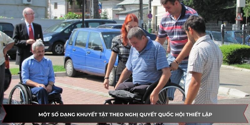 Một số dạng khuyết tật theo nghị quyết Quốc hội thiết lập