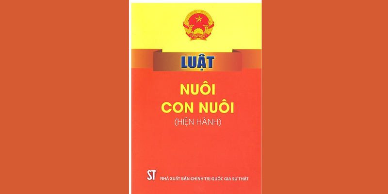 Luật nuôi con nuôi được quy định đầy đủ các điều khoản quan trọng