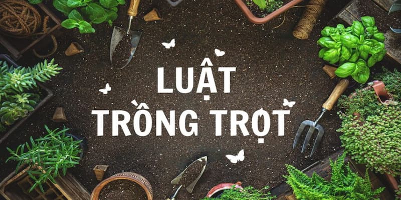 Tìm hiểu sơ lược về luật trồng trọt