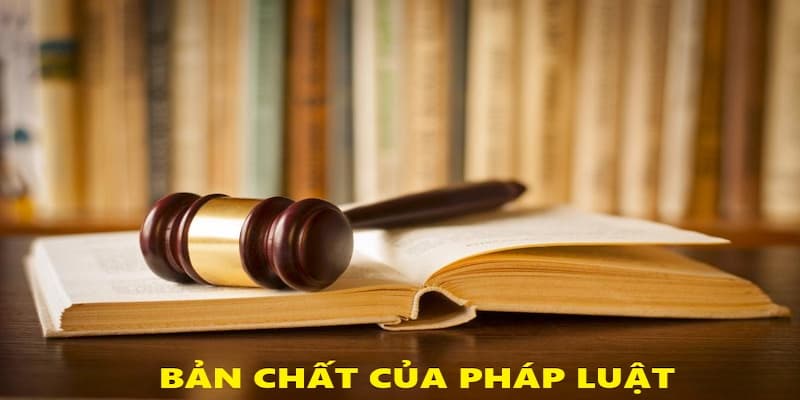 Bản chất pháp luật là gì?