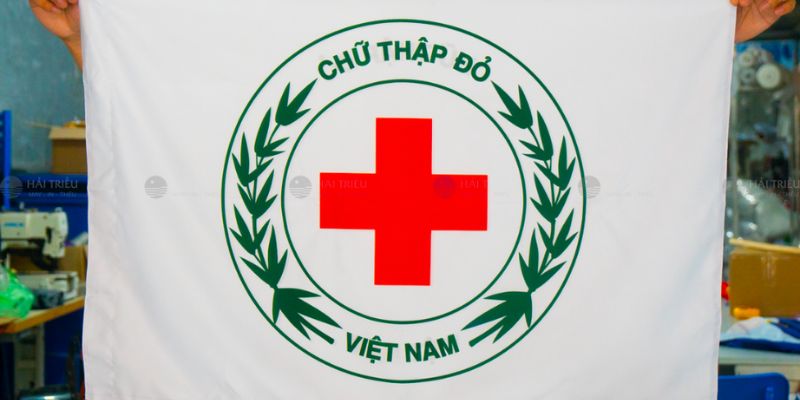 Hội Chữ thập đỏ Việt Nam là mô hình pháp nhân phi thương mại