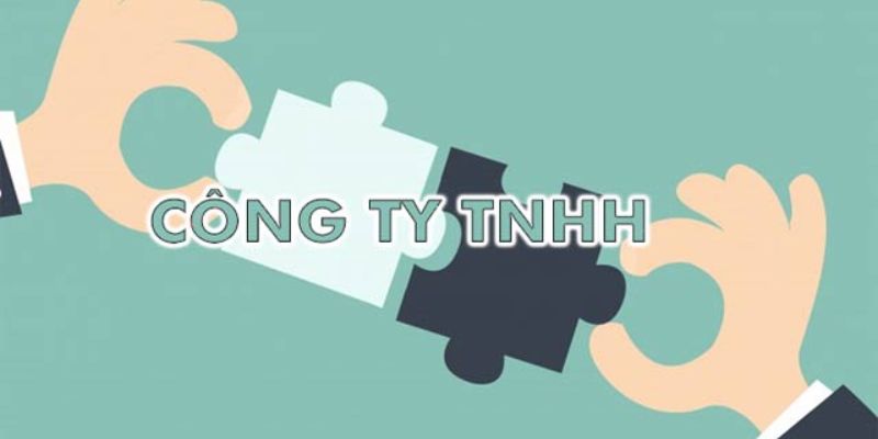 Công ty TNHH gồm hai loại được công nhận tư cách pháp nhân
