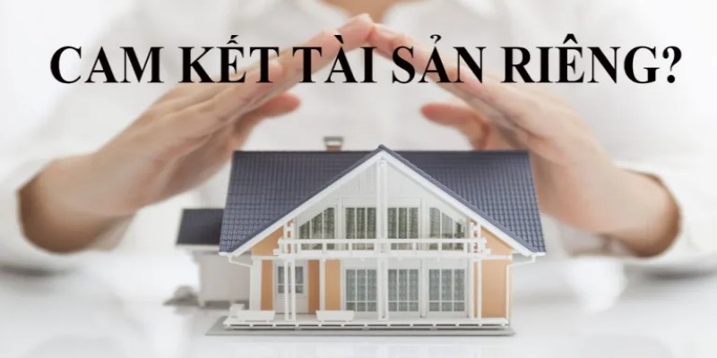 tài sản hình thành trong thời kỳ hôn nhân có thể bị coi là tài sản chung