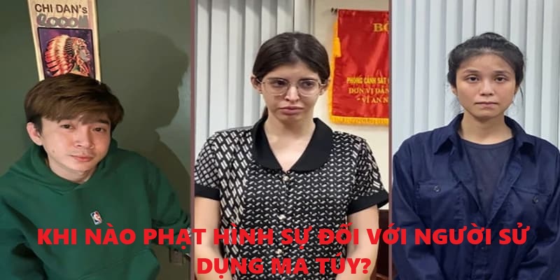Các trường hợp sử dụng ma túy bị truy cứu trách nhiệm hình sự