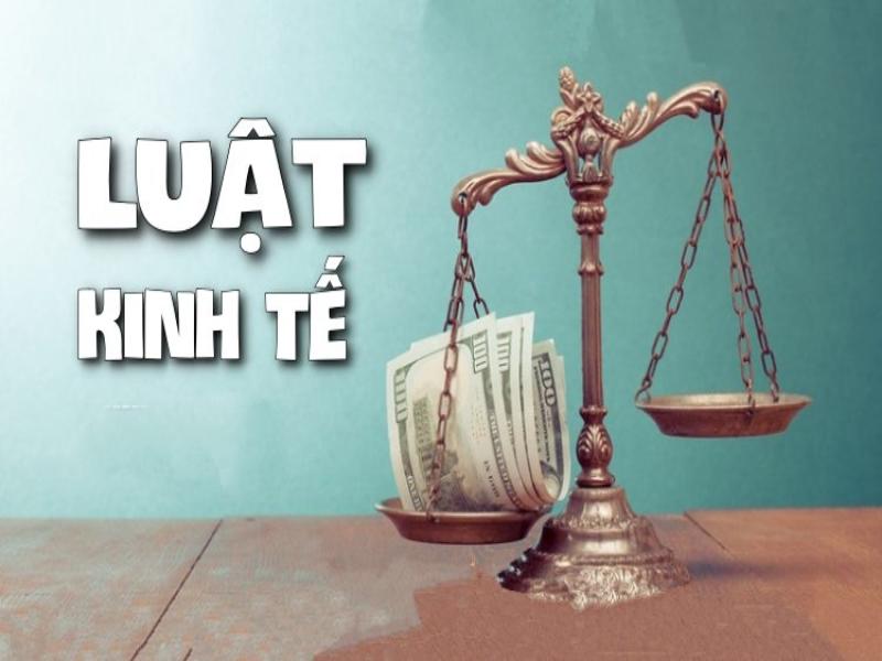 Truy cập website Luật Đại Bàng để tìm hiểu rõ hơn về ngành luật kinh tế là gì