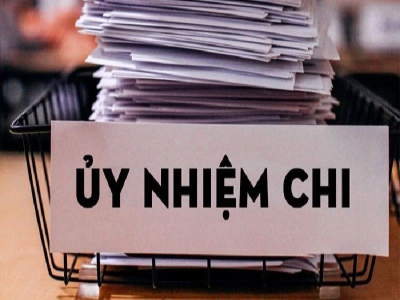 Thuật ngữ ủy nhiệm chi là gì?