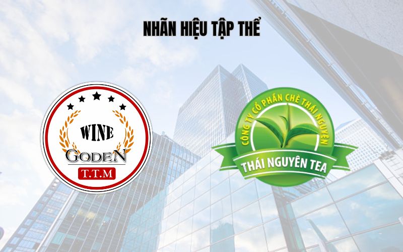 Ví dụ về 2 nhãn hiệu tập thể