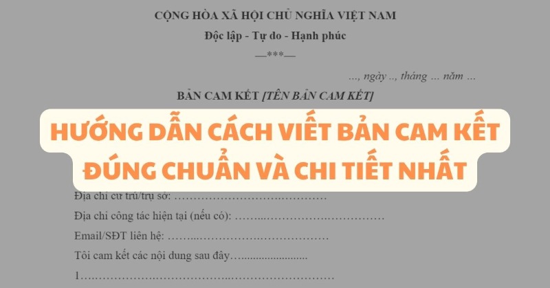 Làm theo cách viết bản cam kết không tái phạm