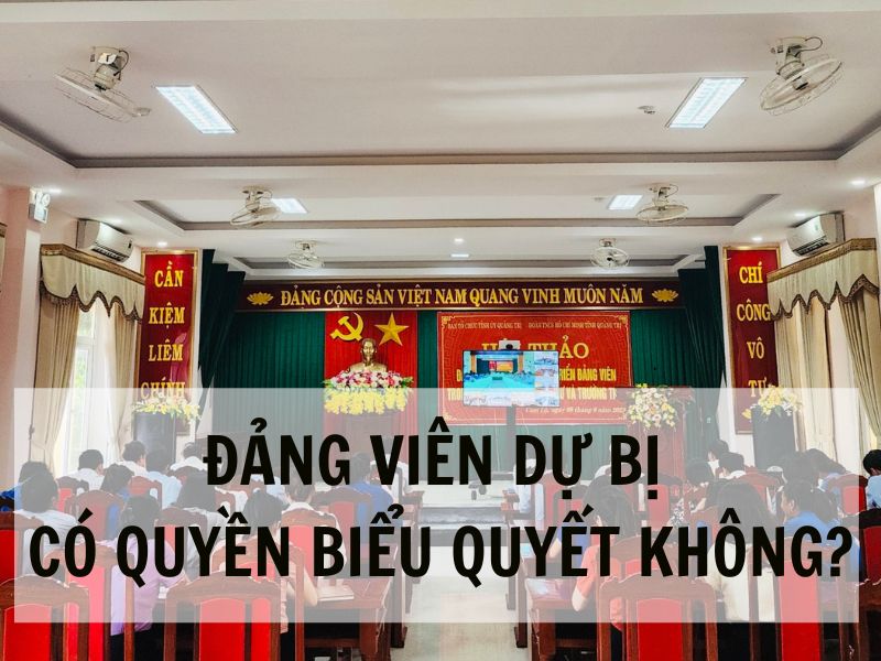 Những việc mà Đảng viên dự bị không có quyền