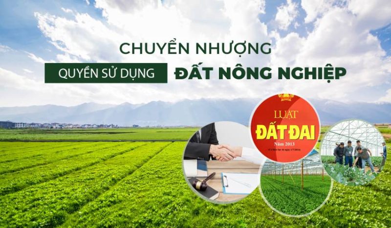 Đất nông nghiệp có được chuyển nhượng không? Câu trả lời là có