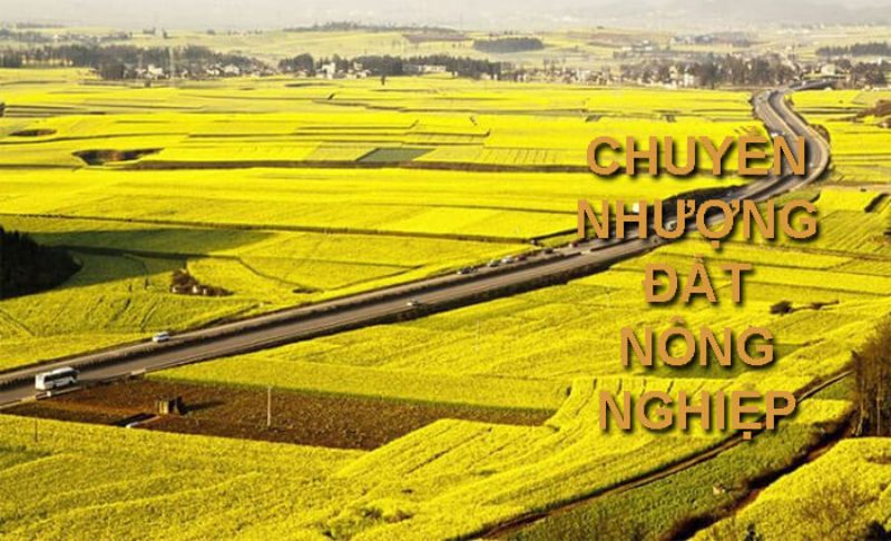 Tuân thủ theo thủ tục chuyển nhượng đất nông nghiệp