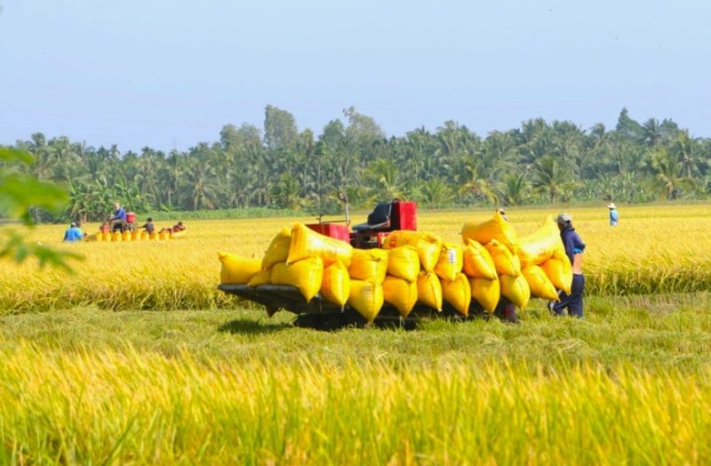 Đất nông nghiệp có thể được chuyển nhượng nếu đáp ứng điều kiện pháp lý