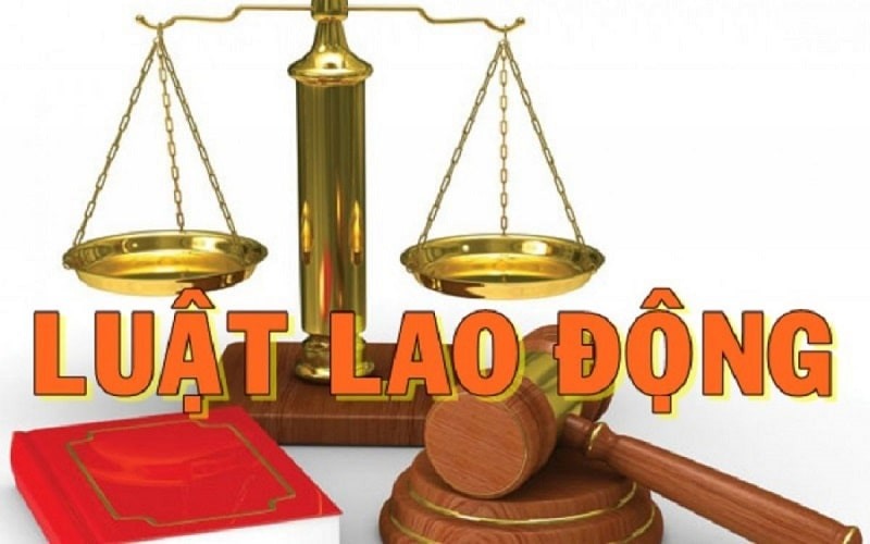 Luật lao động điều chỉnh mối quan hệ giữa người lao động và người sử dụng lao động