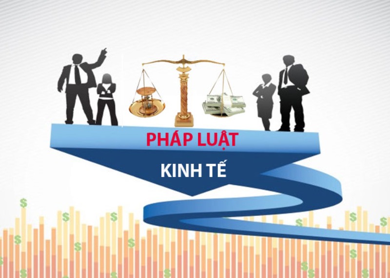Nhóm luật về kinh tế là nhóm luật đông đảo và quan trọng trong hệ thống pháp luật Việt Nam
