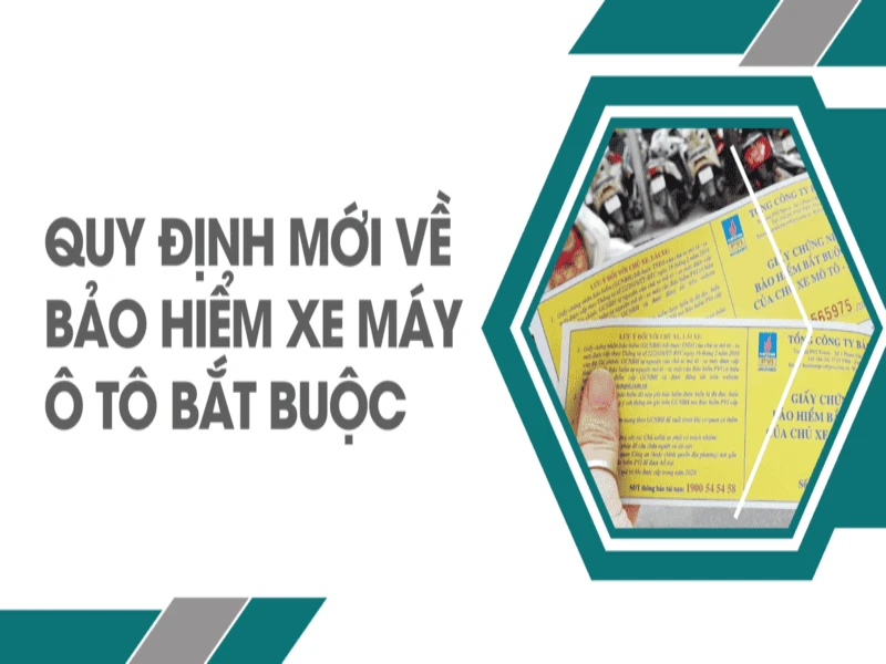 Chủ xe chủ động đảm bảo quyền lợi bản thân