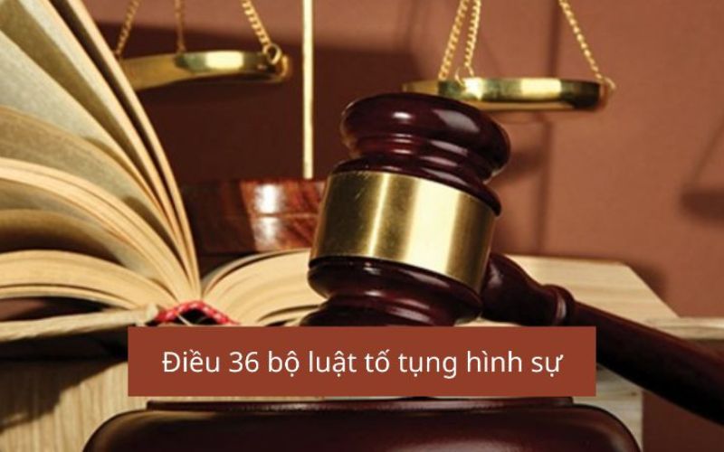 Điều 36 Bộ Luật tố tụng hình sự  quy định cụ thể về quyền và nghĩa vụ bị can