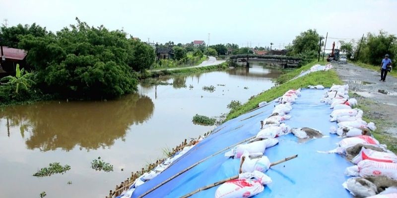 Chương V và chương VI về lực lượng quản lý trực tiếp, trách nhiệm của các bên